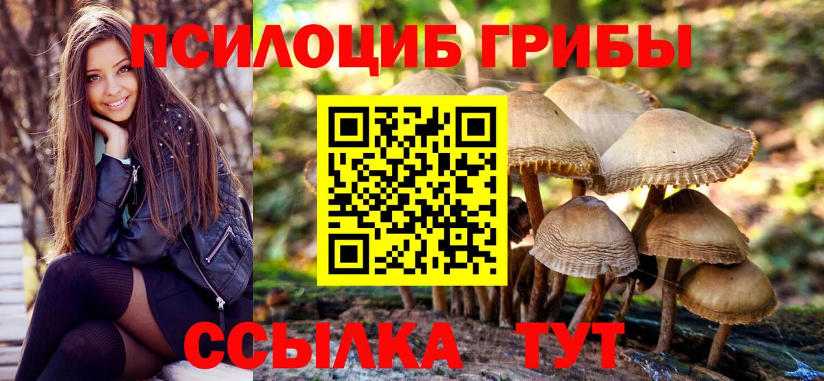 Псилоцибиновые грибы мицелий  где продают   Коломна  Вход с VPN 